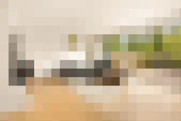 Vlasdonk 27 Diemen thumbnail 4