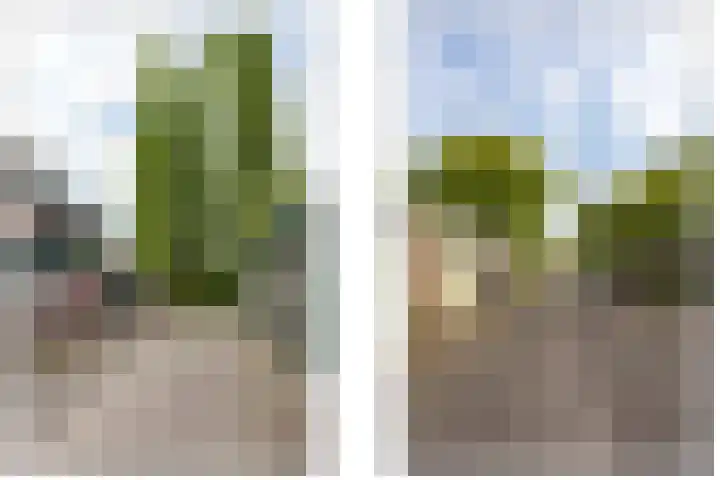 Vlasdonk 27 Diemen thumbnail 41