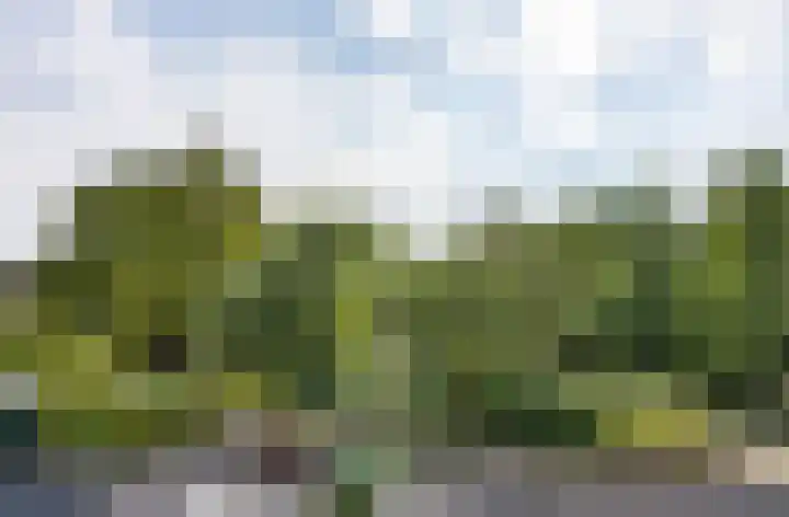 Vlasdonk 27 Diemen thumbnail 42