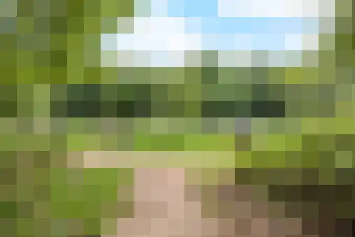 Vlasdonk 27 Diemen thumbnail 45