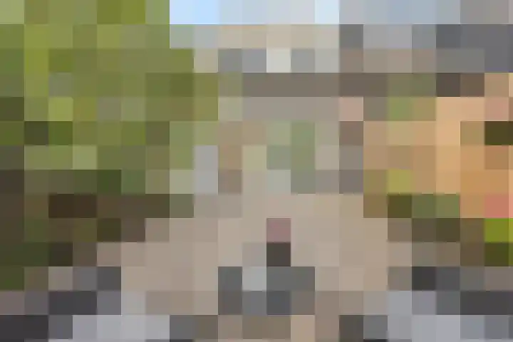 Vlasdonk 27 Diemen thumbnail 8