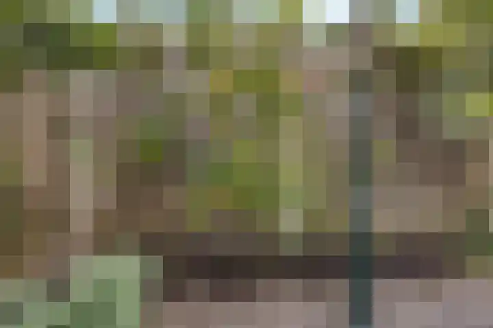 Vlasdonk 27 Diemen thumbnail 9