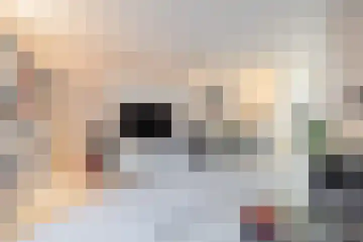 Vlasdonk 61 Diemen thumbnail 10