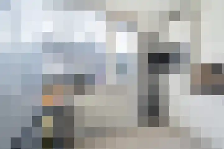 Vlasdonk 61 Diemen thumbnail 14