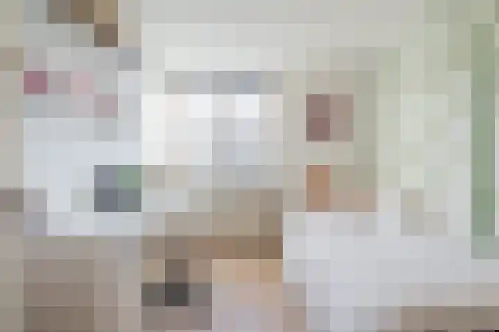 Vlasdonk 61 Diemen thumbnail 22