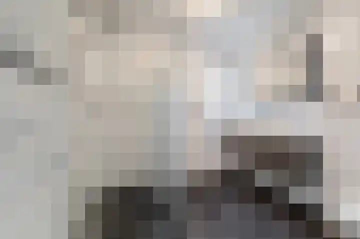 Vlasdonk 61 Diemen thumbnail 26