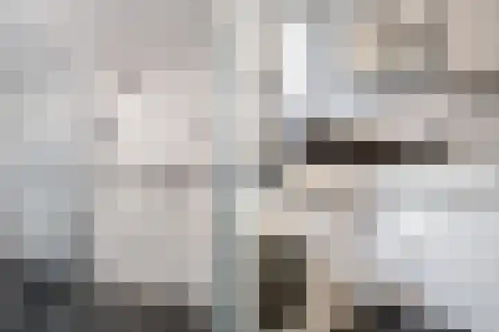 Vlasdonk 61 Diemen thumbnail 27