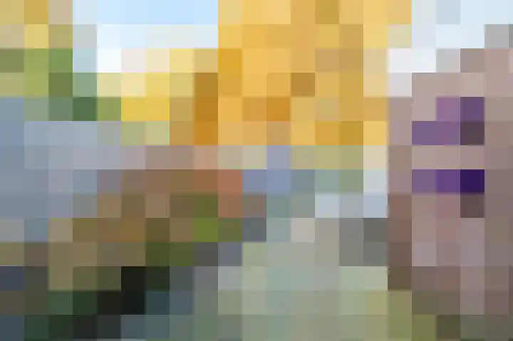 Vlasdonk 61 Diemen thumbnail 30