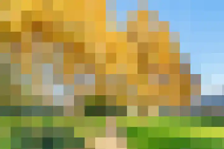 Vlasdonk 61 Diemen thumbnail 38