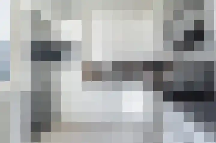 Vlasdonk 61 Diemen thumbnail 4