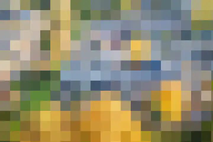 Vlasdonk 61 Diemen thumbnail 43