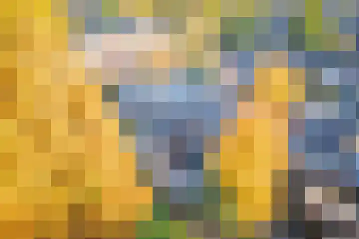 Vlasdonk 61 Diemen thumbnail 44