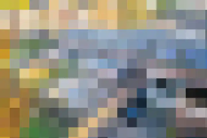 Vlasdonk 61 Diemen thumbnail 45