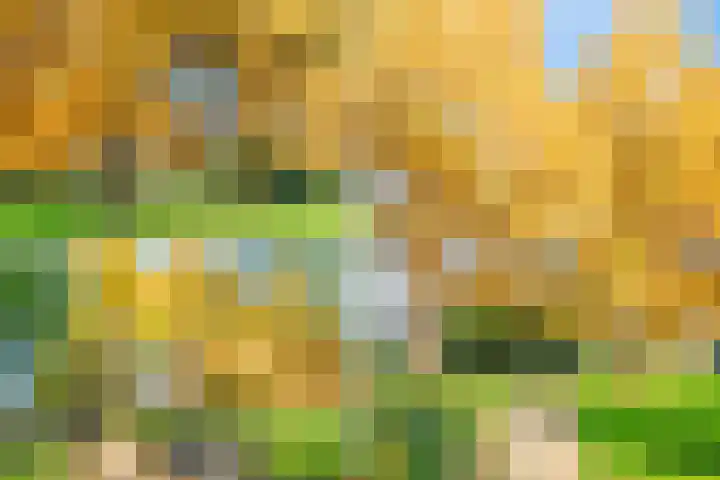 Vlasdonk 61 Diemen thumbnail 48