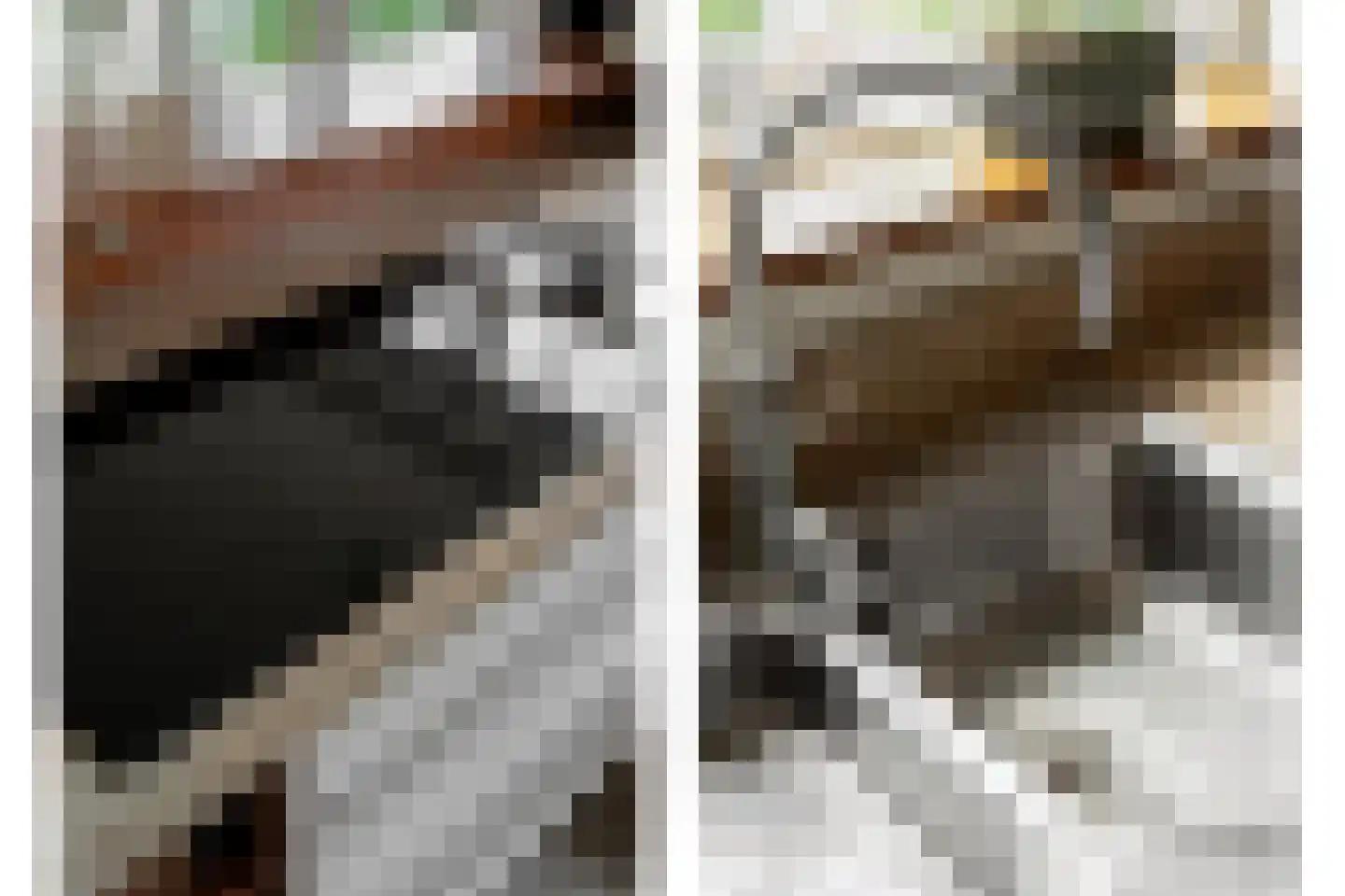 Vlasdreef 3 Papendrecht thumbnail 19