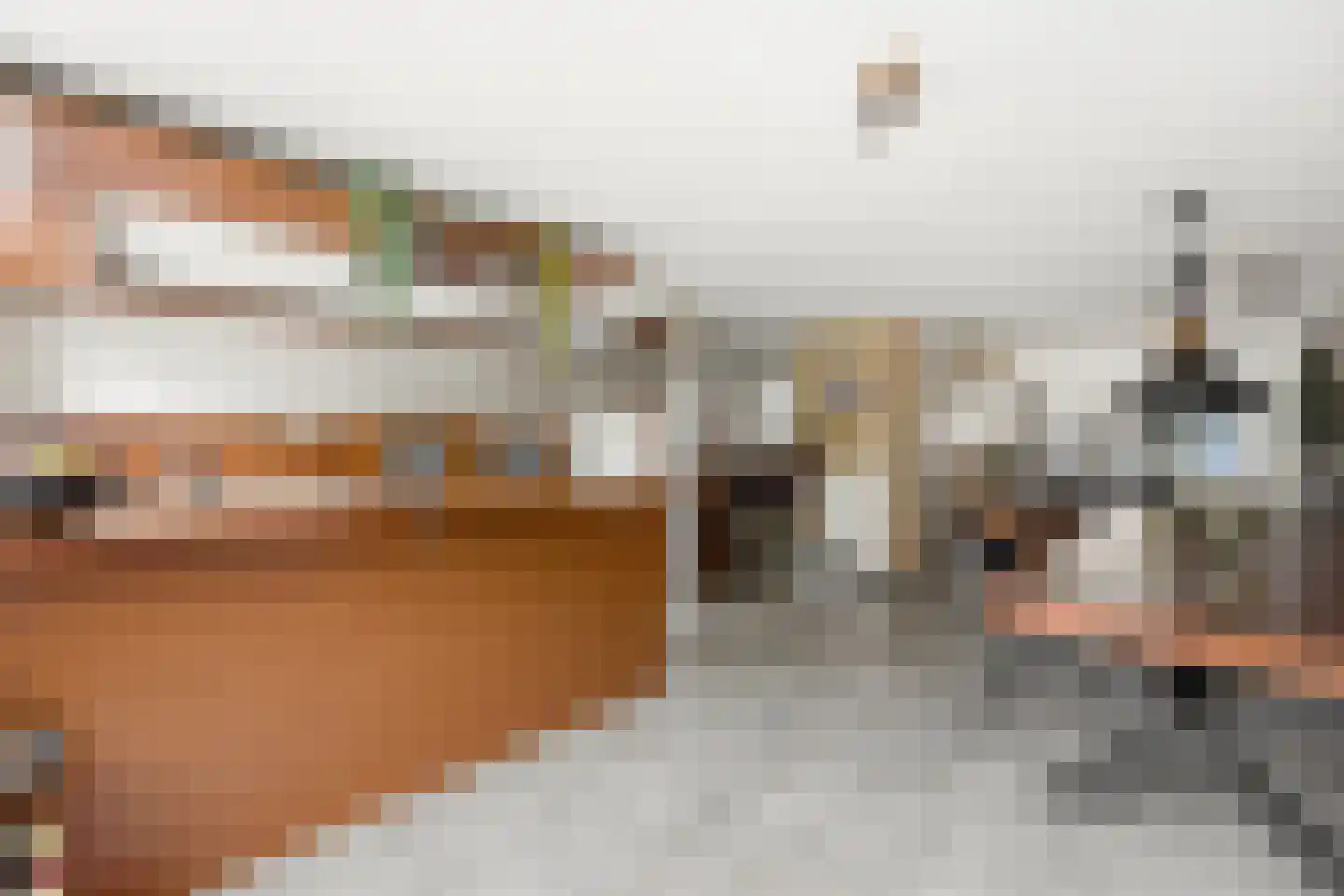 Vlasdreef 3 Papendrecht thumbnail 20