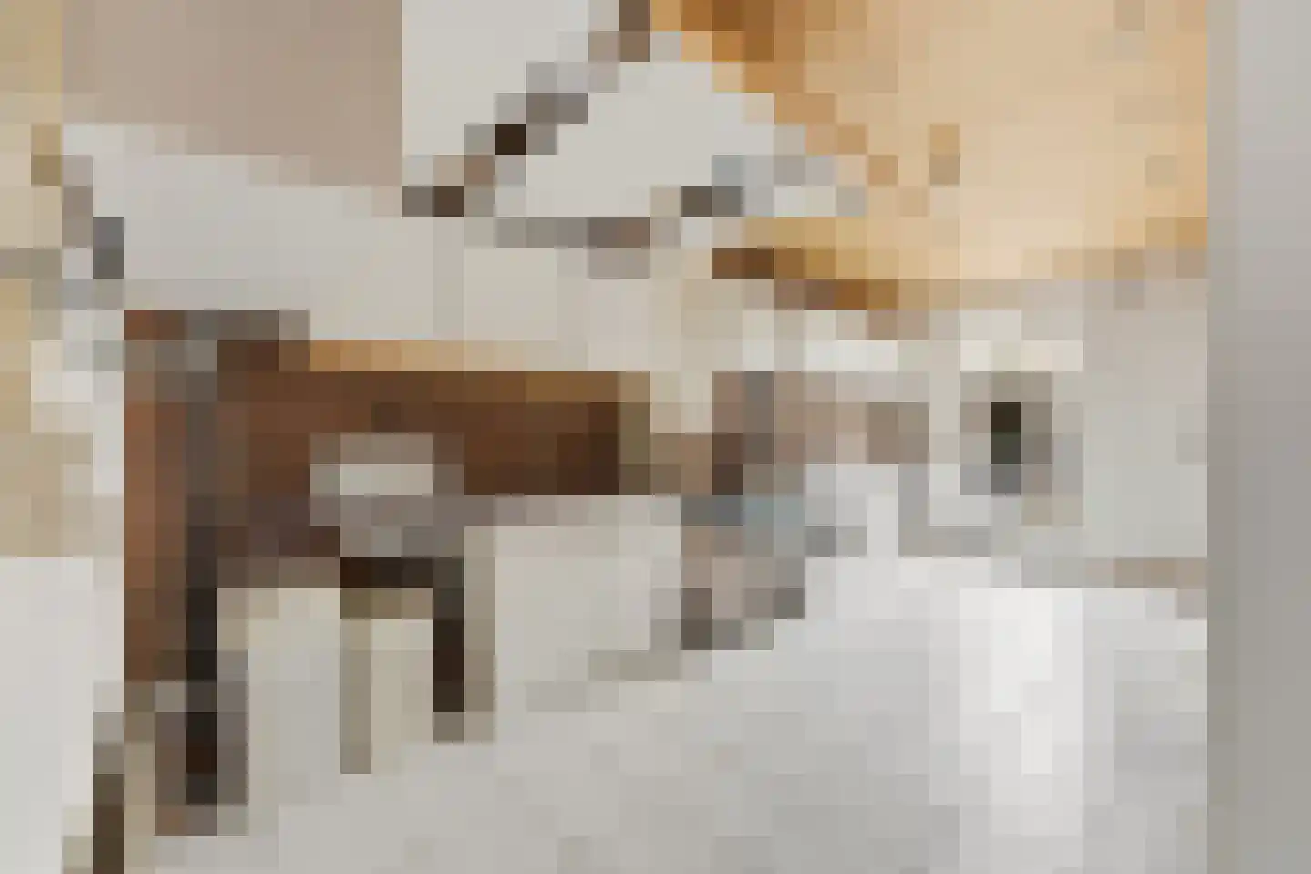 Vlasdreef 3 Papendrecht thumbnail 22