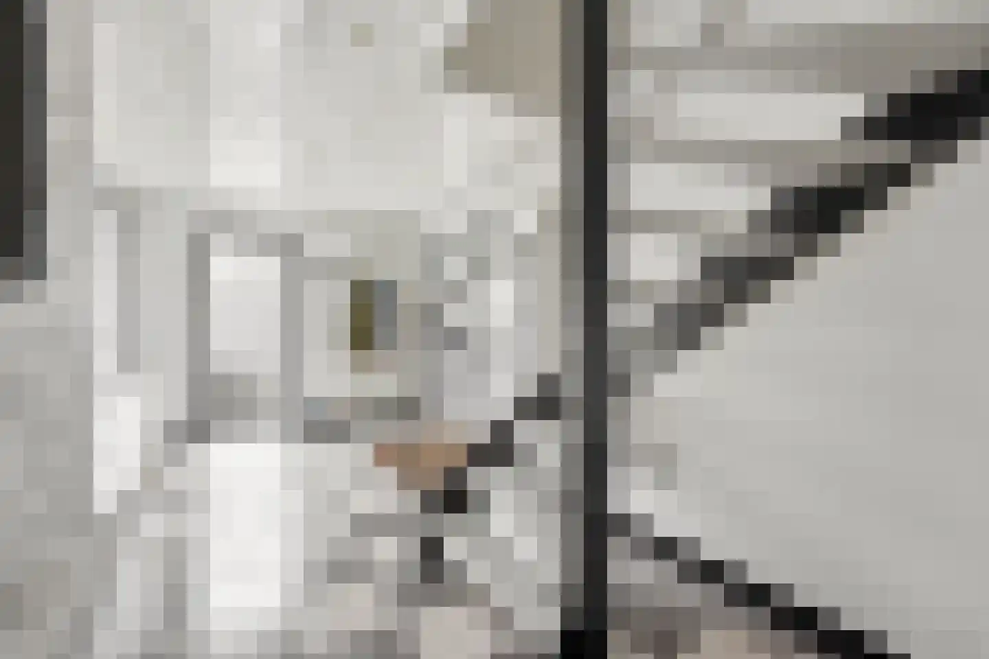 Vlasdreef 3 Papendrecht thumbnail 24