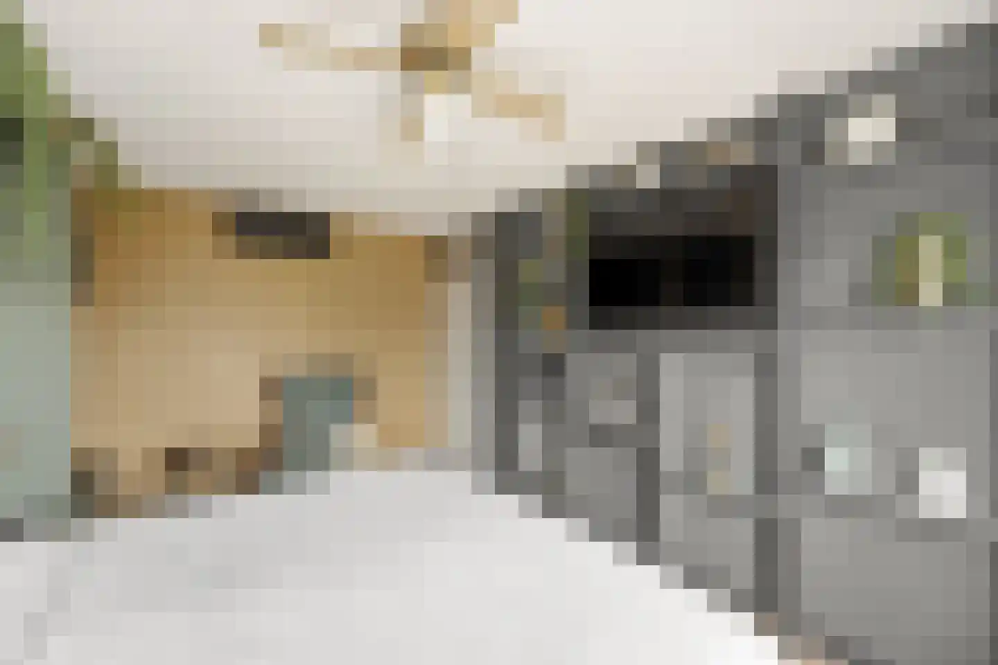 Vlasdreef 3 Papendrecht thumbnail 29