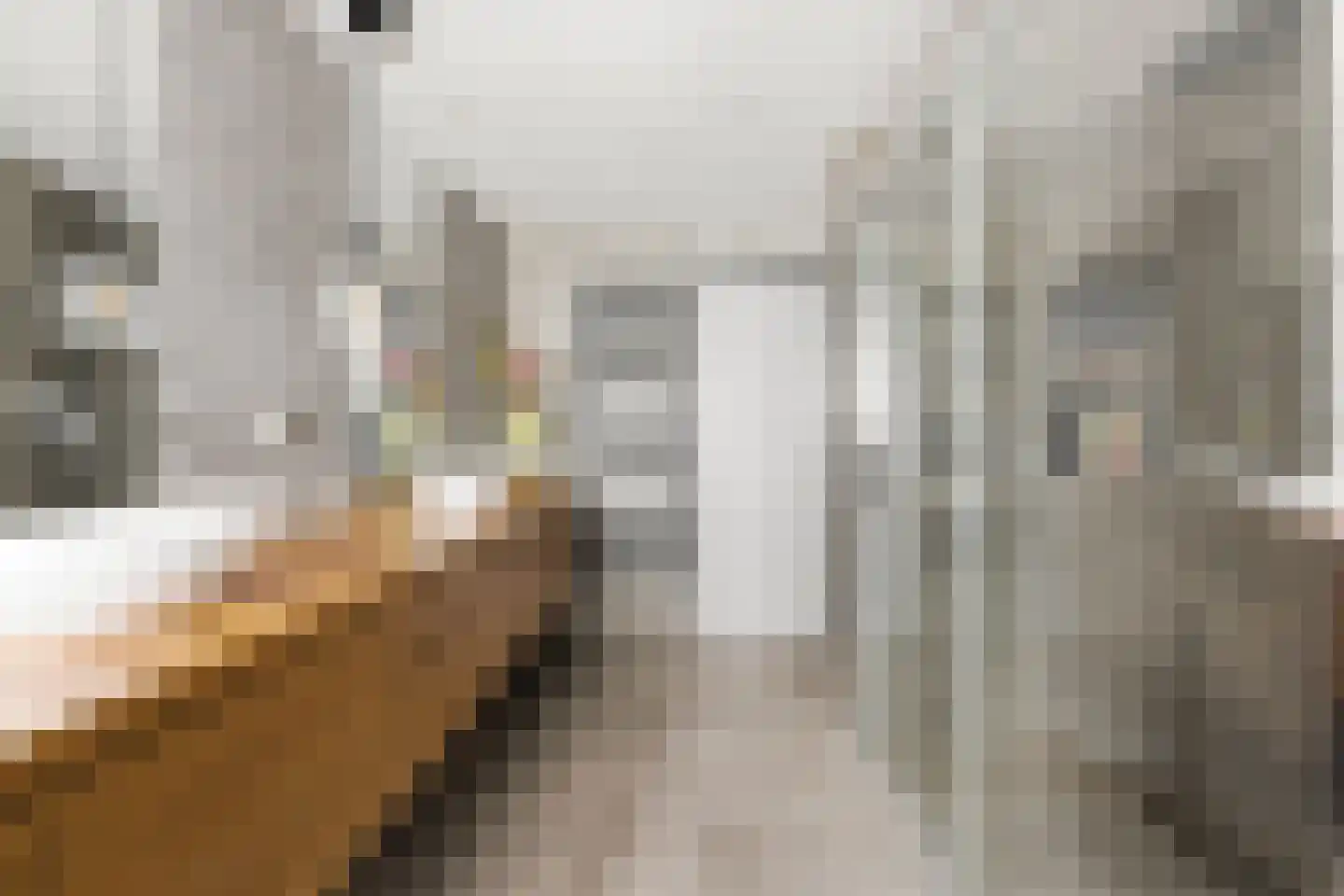 Vlasdreef 3 Papendrecht thumbnail 35
