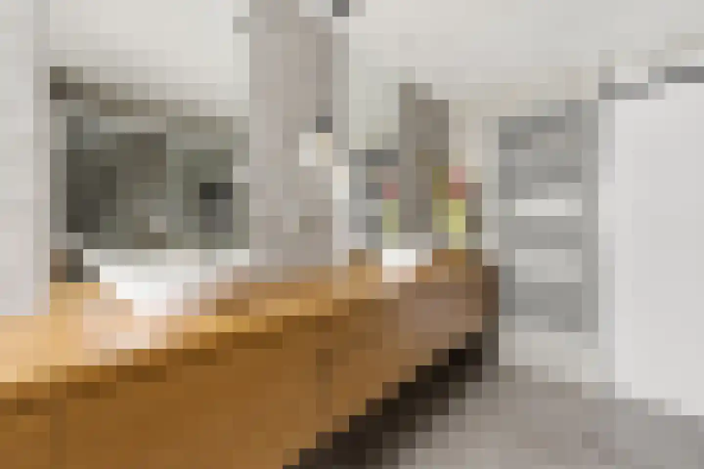 Vlasdreef 3 Papendrecht thumbnail 36
