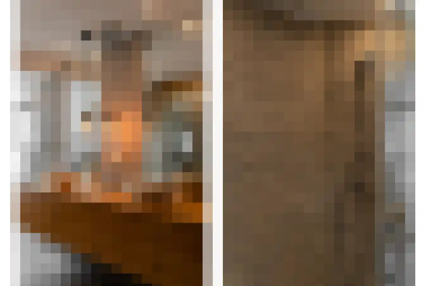 Vlasdreef 3 Papendrecht thumbnail 37