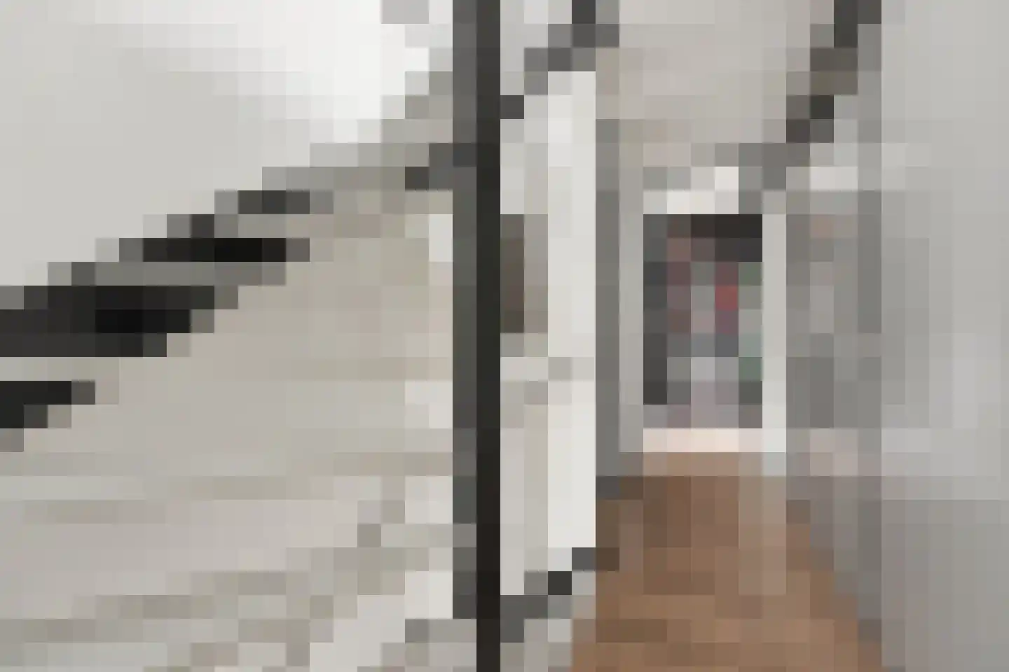 Vlasdreef 3 Papendrecht thumbnail 42