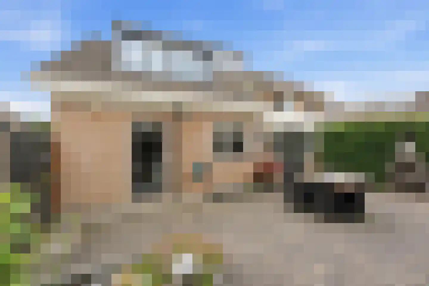 Vlasdreef 3 Papendrecht thumbnail 58