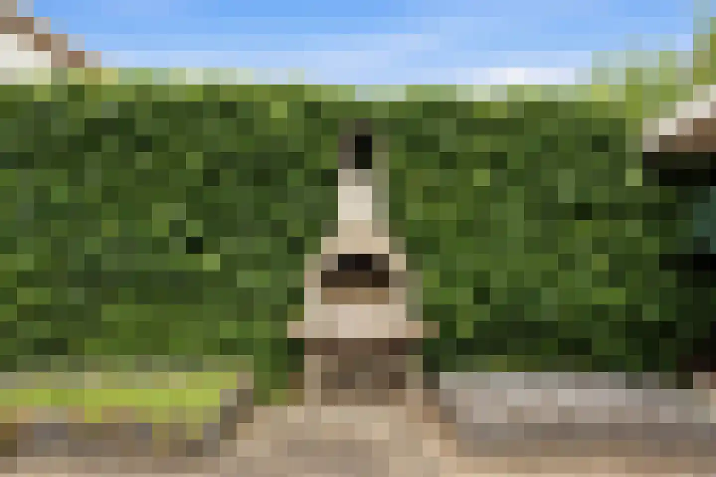 Vlasdreef 3 Papendrecht thumbnail 61