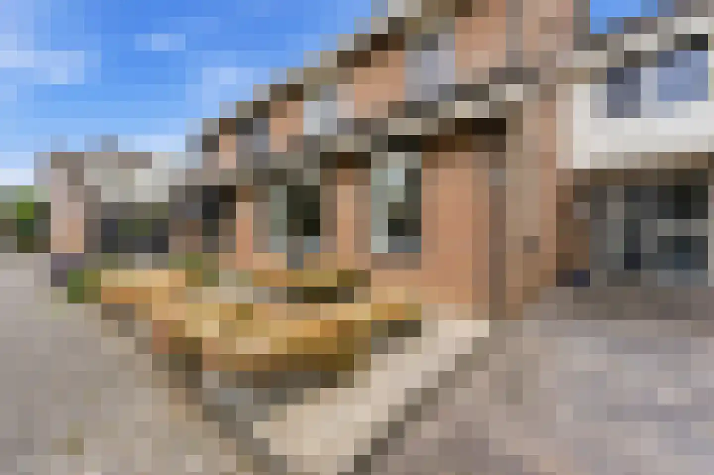 Vlasdreef 3 Papendrecht thumbnail 63