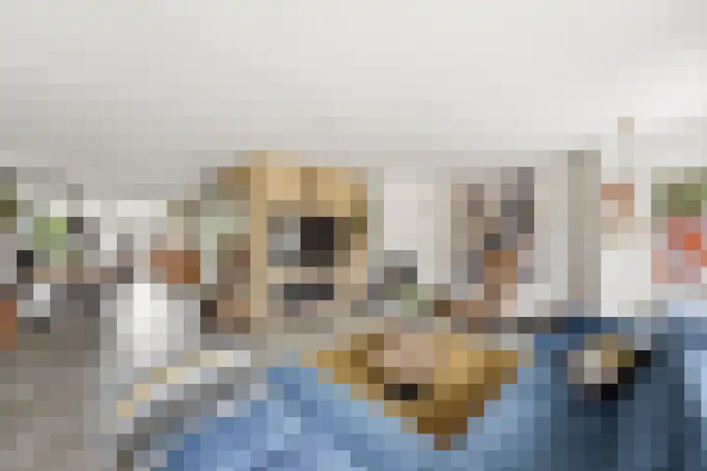 Vlasdreef 3 Papendrecht thumbnail 9