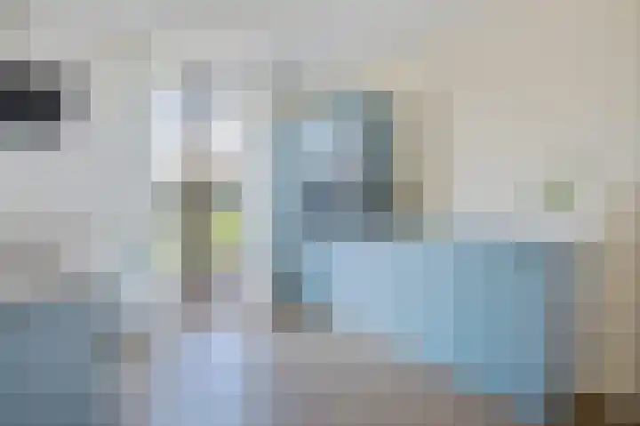 Vlaserf 24 Hoef en Haag thumbnail 10