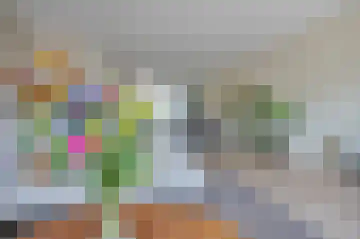 Vlaserf 24 Hoef en Haag thumbnail 12