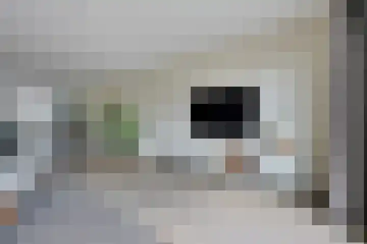 Vlaserf 24 Hoef en Haag thumbnail 13