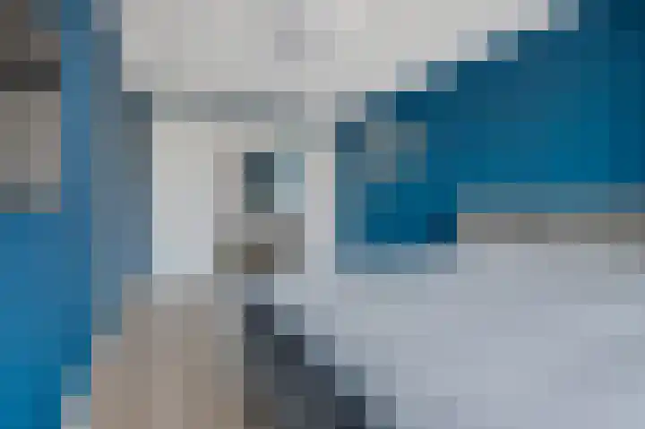 Vlaserf 24 Hoef en Haag thumbnail 17