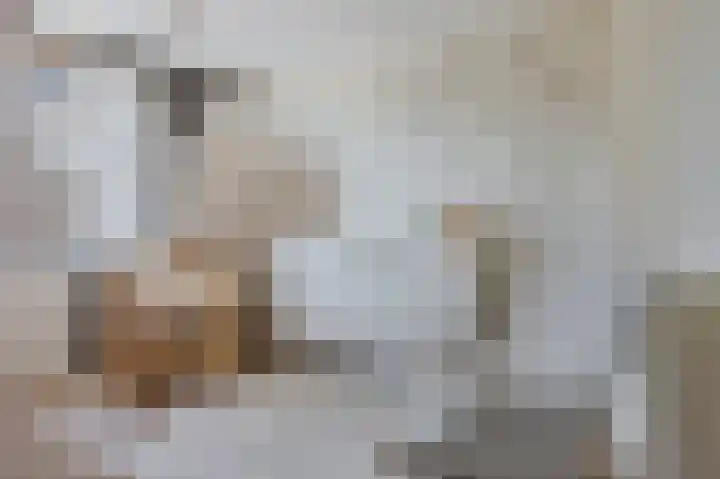 Vlaserf 24 Hoef en Haag thumbnail 18