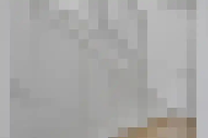 Vlaserf 24 Hoef en Haag thumbnail 25