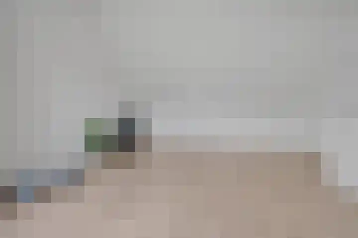 Vlaserf 24 Hoef en Haag thumbnail 26