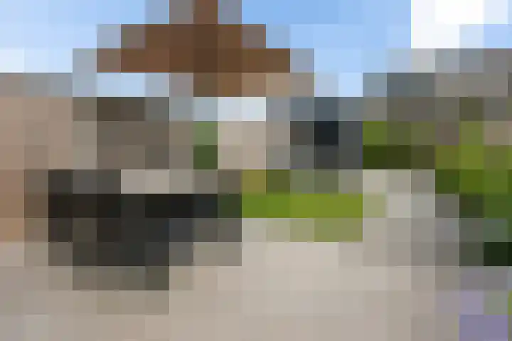 Vlaserf 24 Hoef en Haag thumbnail 29