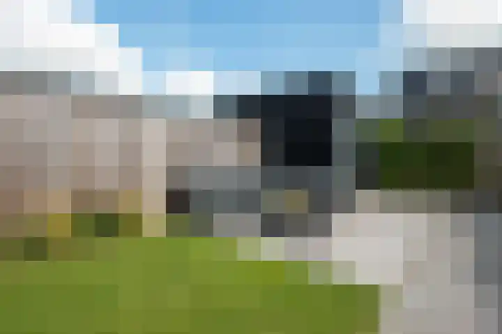Vlaserf 24 Hoef en Haag thumbnail 30