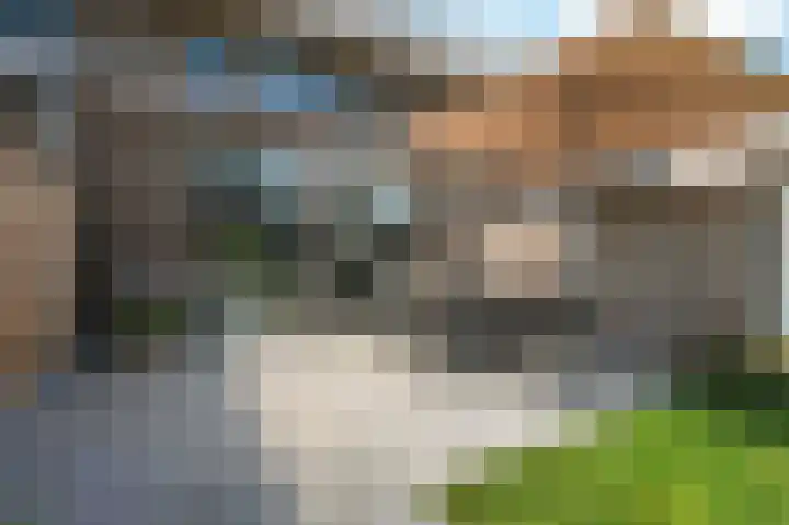 Vlaserf 24 Hoef en Haag thumbnail 31