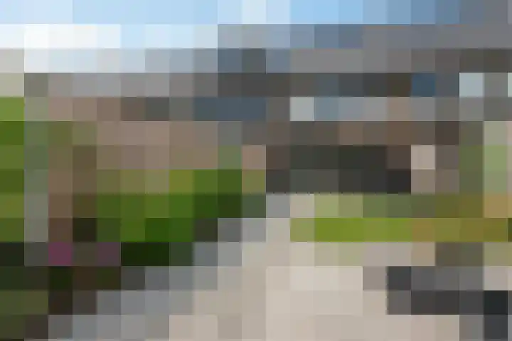 Vlaserf 24 Hoef en Haag thumbnail 32