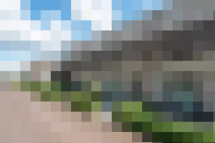 Vlaserf 24 Hoef en Haag thumbnail 33