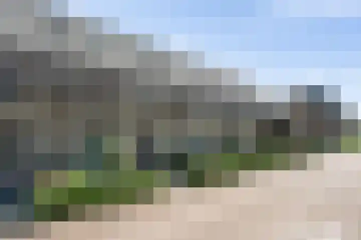 Vlaserf 24 Hoef en Haag thumbnail 34