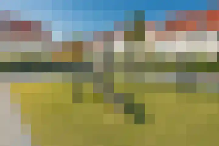 Vlaserf 24 Hoef en Haag thumbnail 35