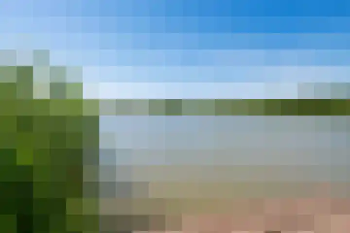 Vlaserf 24 Hoef en Haag thumbnail 39