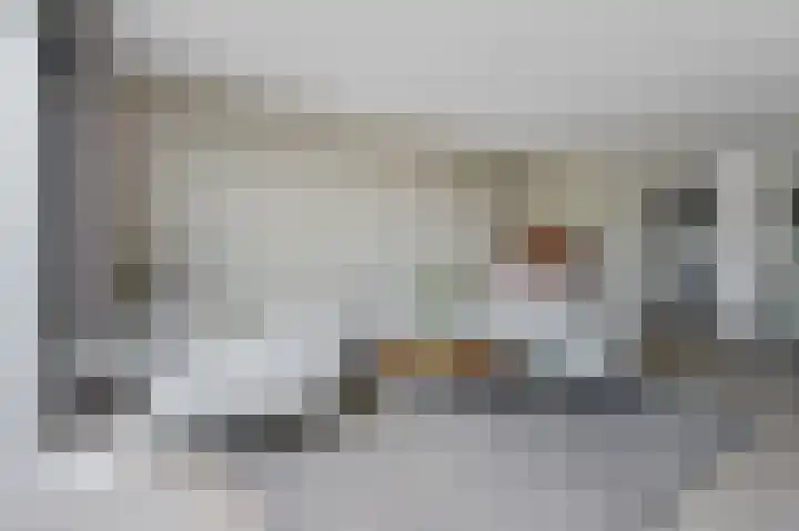 Vlaserf 24 Hoef en Haag thumbnail 5