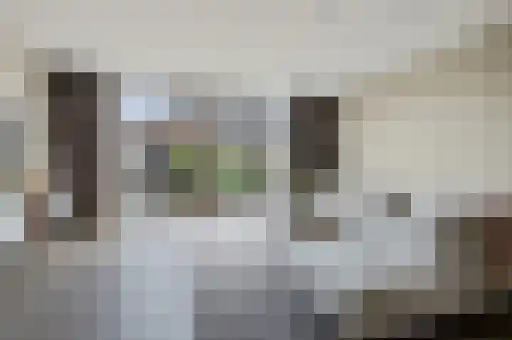 Vlaserf 24 Hoef en Haag thumbnail 6