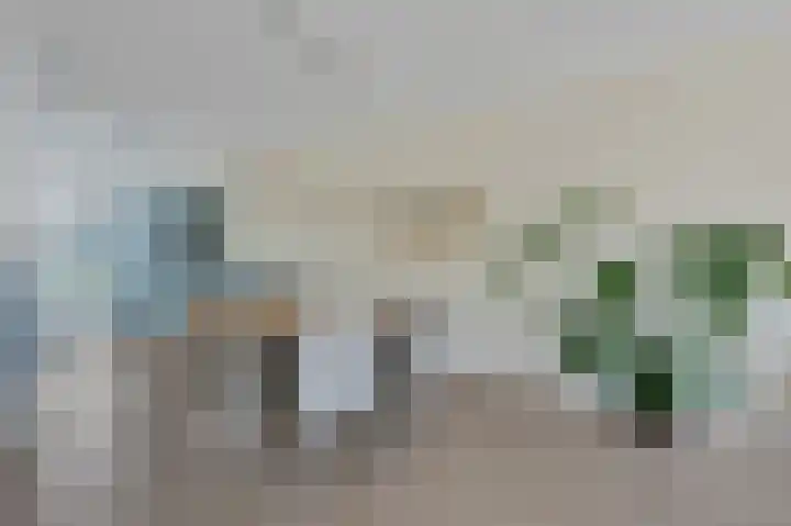 Vlaserf 24 Hoef en Haag thumbnail 7