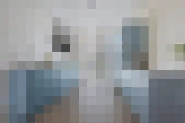 Vlaserf 24 Hoef en Haag thumbnail 8